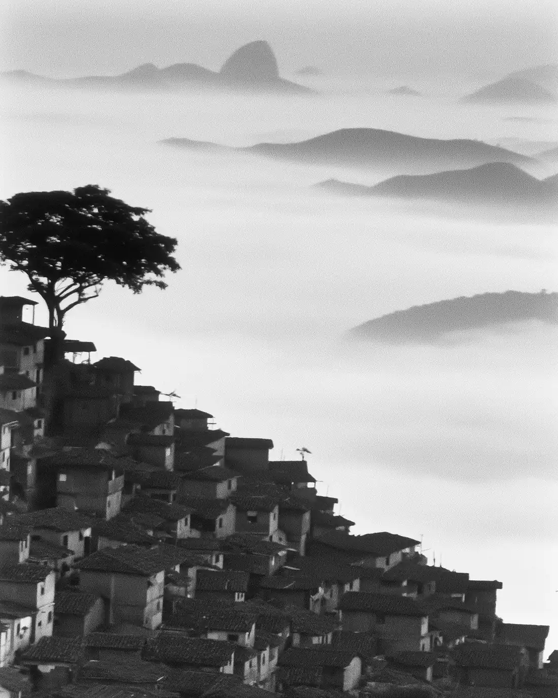 Vista aérea ao amanhecer de moradias em encosta